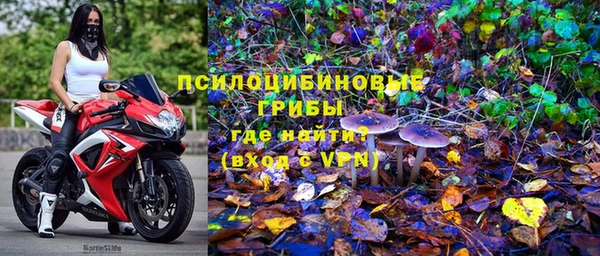 гидра Шарыпово