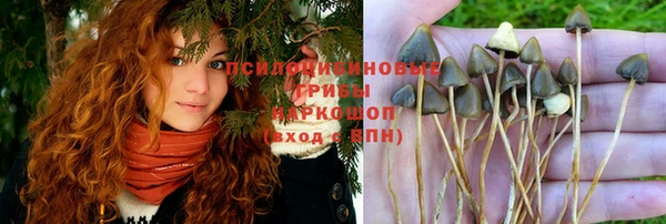 МДМА Нефтекумск