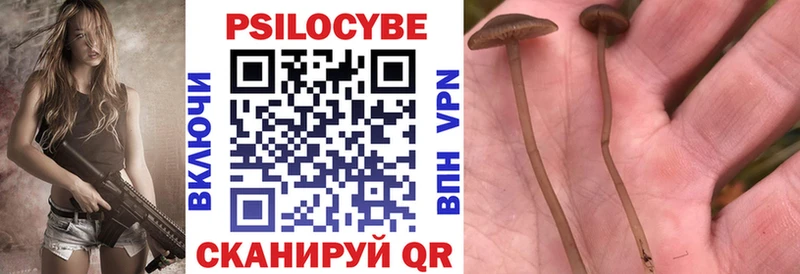 Галлюциногенные грибы Magic Shrooms  продажа наркотиков  Балей 
