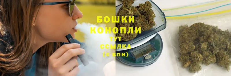 Каннабис OG Kush  Балей 